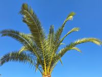 ein Musterexemplar, 20250101_133002.jpg