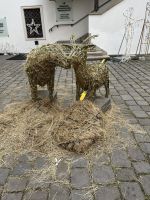 24.12.24 Stadtrundfahrt/- gang Brünn-  Festung Spielberg