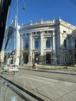 IMG_1486.jpeg