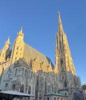 26.12.24 Ausflug nach Wien - DOM im Sonnenglanz