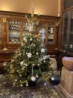 29.12.24  Bratislava -  Altstadt  - älteste Apotheke - direkt an der Cathedral