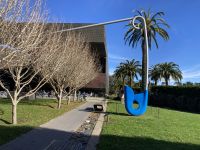 San Francisco - de Young  Museum 