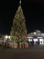 Pier 39 - SF