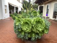 Carmel-by-the-Sea 
