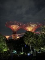 Super Trees in den Gardens by the Bay