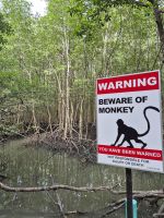 im Kilim Karst Geoforest Park