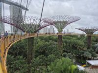 am Abreisetag: Gardens by the Bay, Skywalk