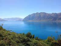 Wanaka See