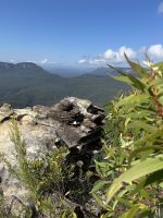 Blue Mountains - Jamison Valley