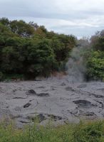 Rotorua
