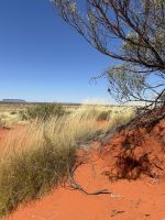 Salzsee im Outback