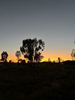 Sonnenaufgang am Uluru / Ayers Rock