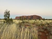 Sonnenaufgang am Uluru / Ayers Rock