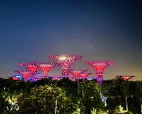 Tag 2 - Gardens by the Bay, Lichtershow