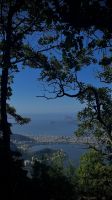 Christ the Redeemer, Tijuca National Park, Rio de Janeiro, Greater Rio de Janeiro, Brazil