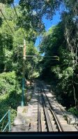 Tijuca National Park, Rio de Janeiro, Greater Rio de Janeiro, Brazil