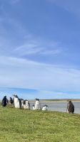Stanley, Falkland Islands