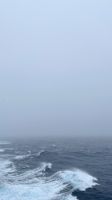 NCL, Antartika, Southern Ocean
