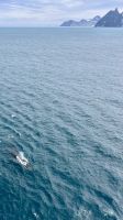 Elephant Insel, Antartika, Southern Ocean