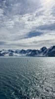 Elephant Insel, Antartika, Southern Ocean