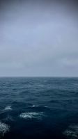 NCL, Auf dem Kreuzfahrtschiff nach Ushuaia