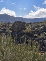 Natur rund um den Teide.jpg