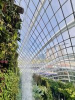 Tag 3 - Gardens by the Bay, Cloud Forest