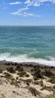Punta Norte, Halbinsel Valdes, Chubut, Argentina