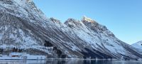 Fakultativer Bootsausflug - Silent Hjørundfjord - Nebenfjord Norangsfjord (mit Urke und in Øye dem Kaiserhotel 