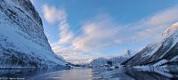 Fakultativer Bootsausflug - Silent Hjørundfjord - Nebenfjord Norangsfjord