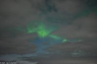 Nordland - Lady Aurora zwischen Rørvik und Brønnøysund