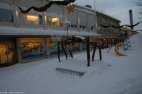 Königskrabben in Kirkenes