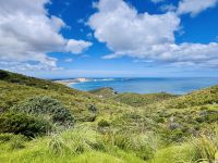 Tag 6 - Cape Reinga 