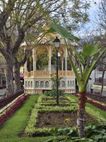 La Orotava.jpg