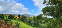 46 Landschaft am Arenal See