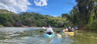 63 Kajaktour auf dem Fluss