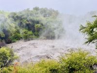 Tag 10 - Kochender Schlammtümpel im Park Te Puia 