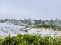 Tag 10 - Pohutu Geysir