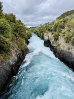 Tag 10 - Waikato Fluss