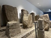 Reliefplatten, Monte Albán, Oaxaca