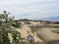 Monte Albán, Oaxaca