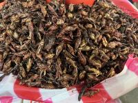 gebratene Heuschrecken, Oaxaca