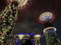 2. Tag: Ankunft in Singapur – Musik- und Lichtershow in den Gardens by the Bay