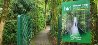 102 Hängebrückenwanderung Monte Verde