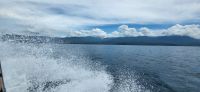 145 Whale Watching Costa Rica