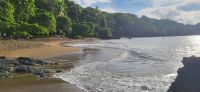 176 Playa Cocalito