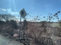 Straßenschild mit Windwarnung