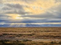 Tag 15 - Auf dem Weg zum Lake Pukaki