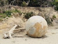 Tag 15 - Steinkugeln am Moeraki Boulders Beach