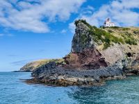 Tag 15 - Bootstour mit Monarch Wildlife Cruise